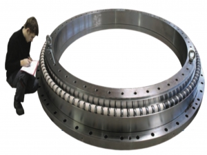 轉盤軸承 Slewing Bearing
