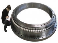 轉盤軸承 Slewing Bearing